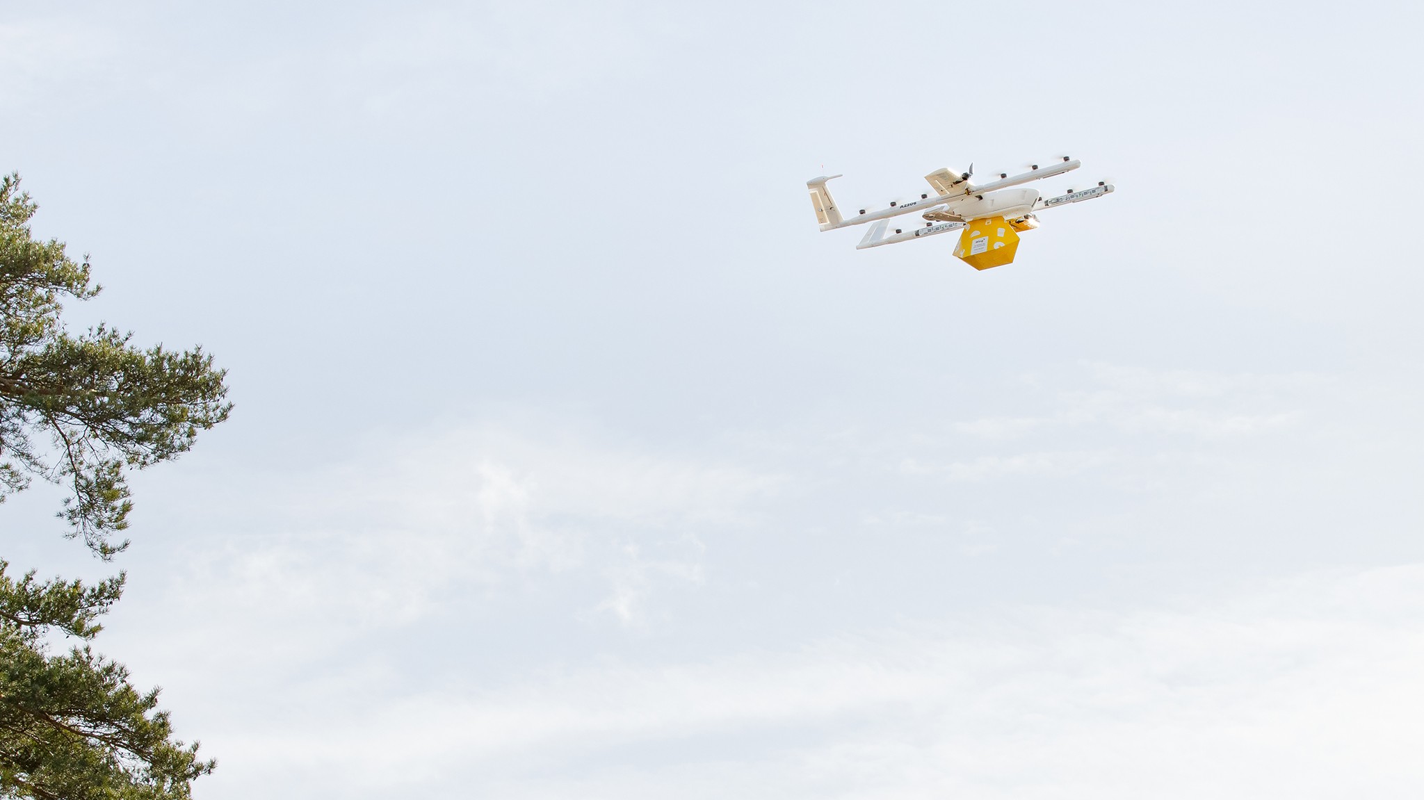 Wing та Walmart запускають першу службу дронів у Метрo-Атланті